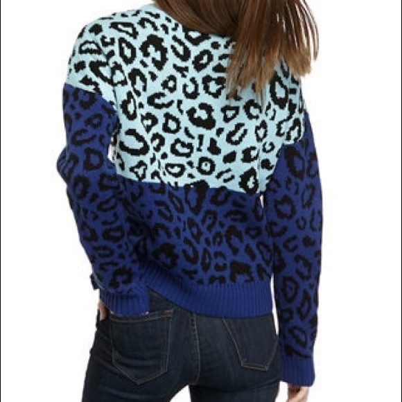 Blush & Bloom | NWT Leopard Color Block Sweater - Picture 2 of 10